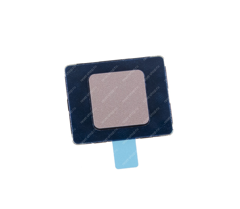 Сканер отпечатка пальца ASUS UX331UAL золотистый